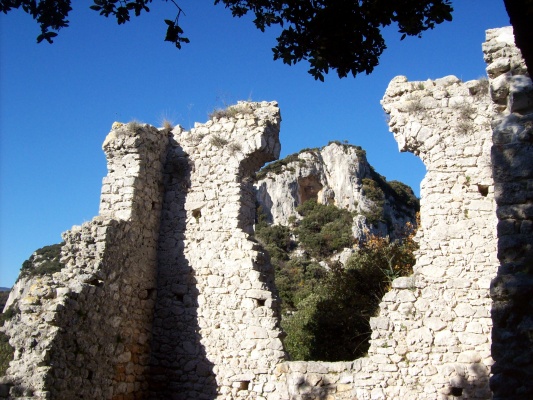 Castrum Perticae